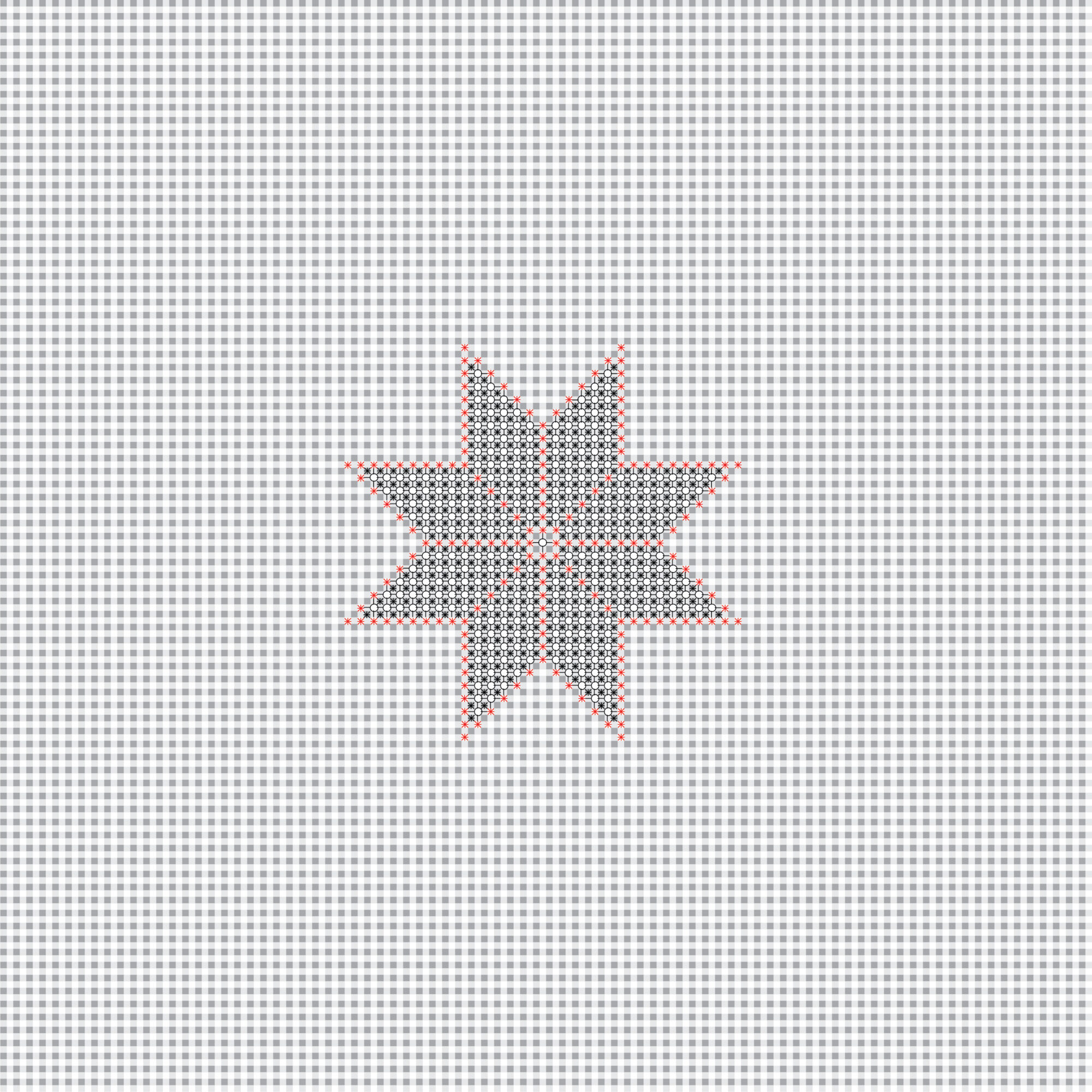 Large embroidered star on tiny gingham