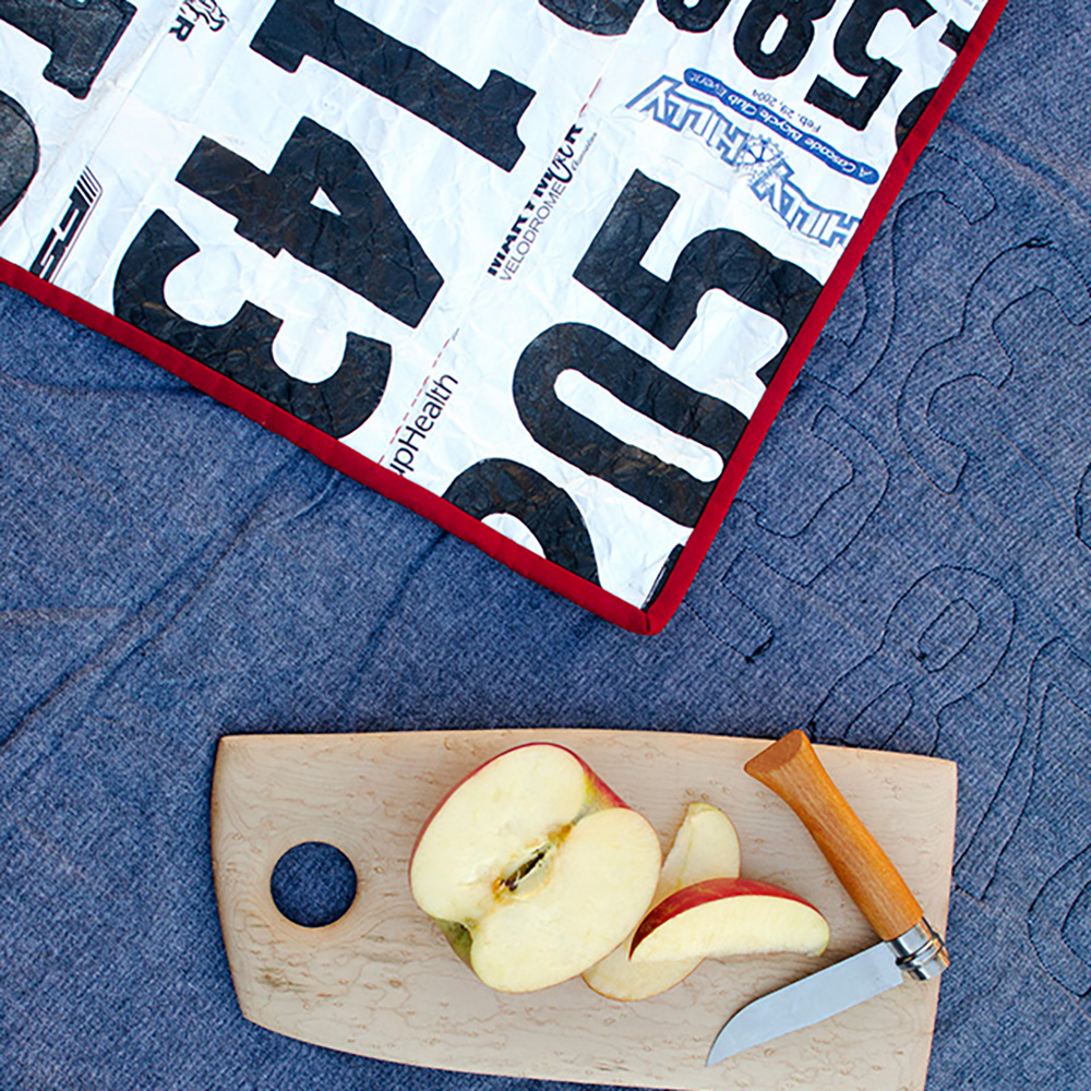 Racer quilt by Blair Stocker of Wise Craft Handmade