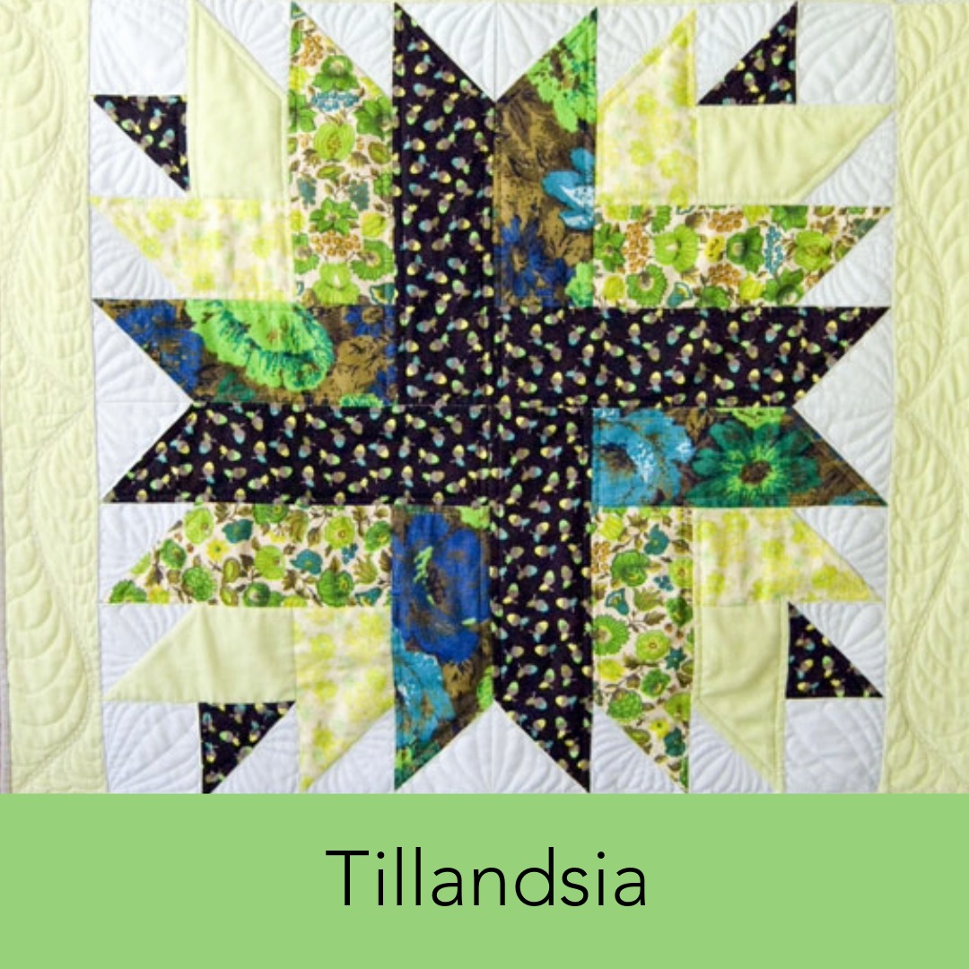 Tillandsia Quilt Pattern
