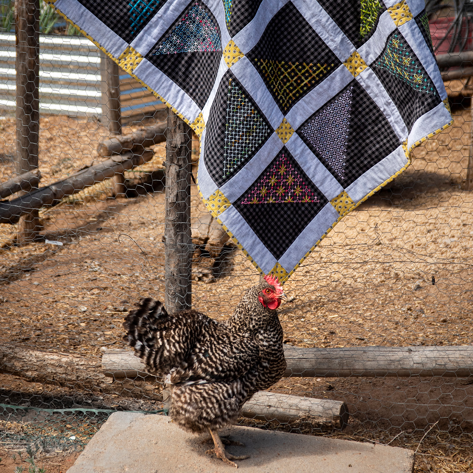 Gridline Block of the Month Chicken Scratch embroidery by Blair Stocker