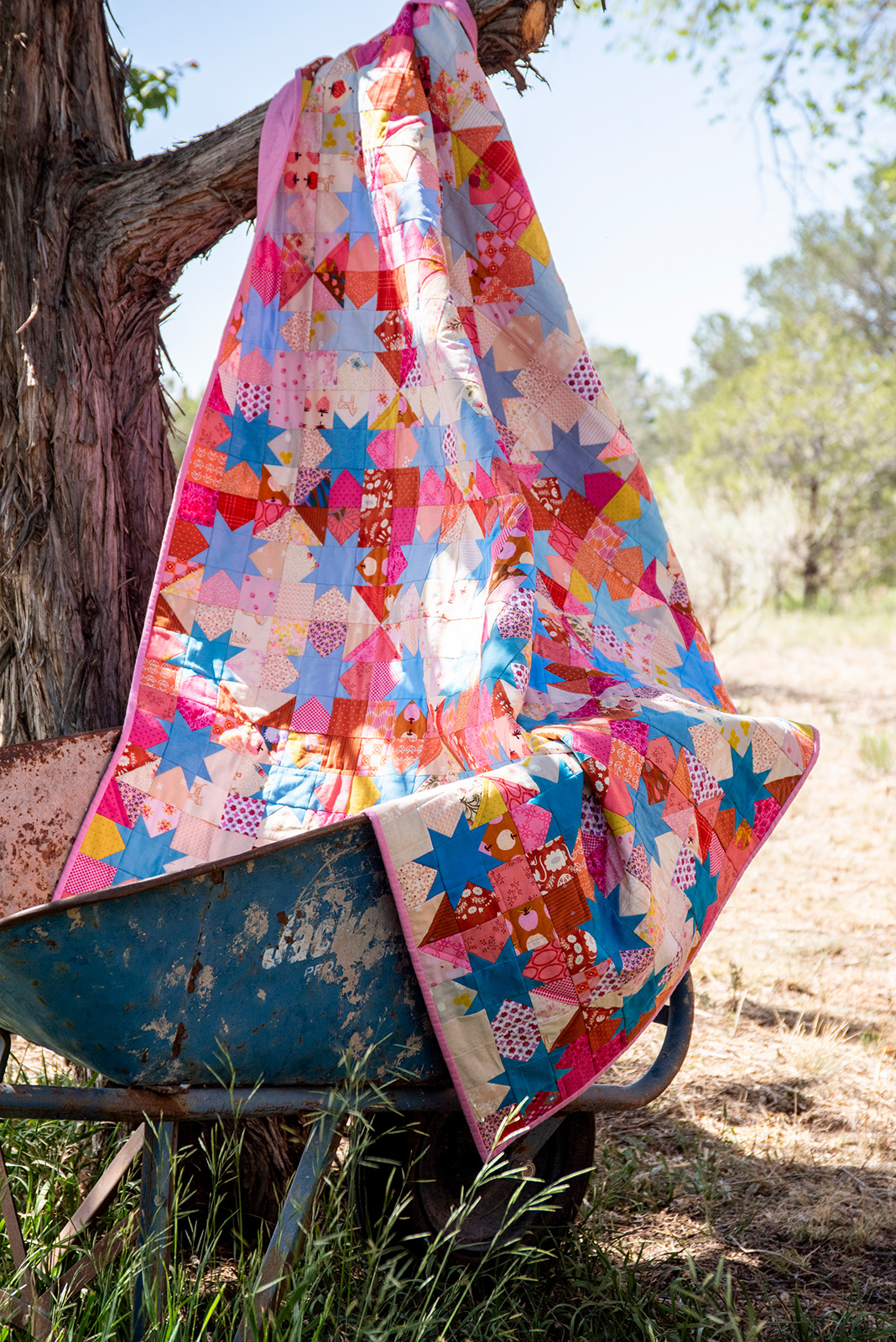 ViraBlueStars_Wheelbarrow2_Portrait_WEB
